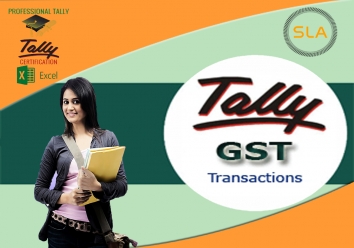 Tally(Accounting)+GST (12month)